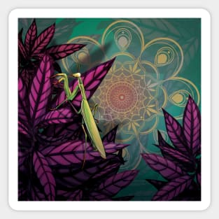 Praying Mantis Sticker